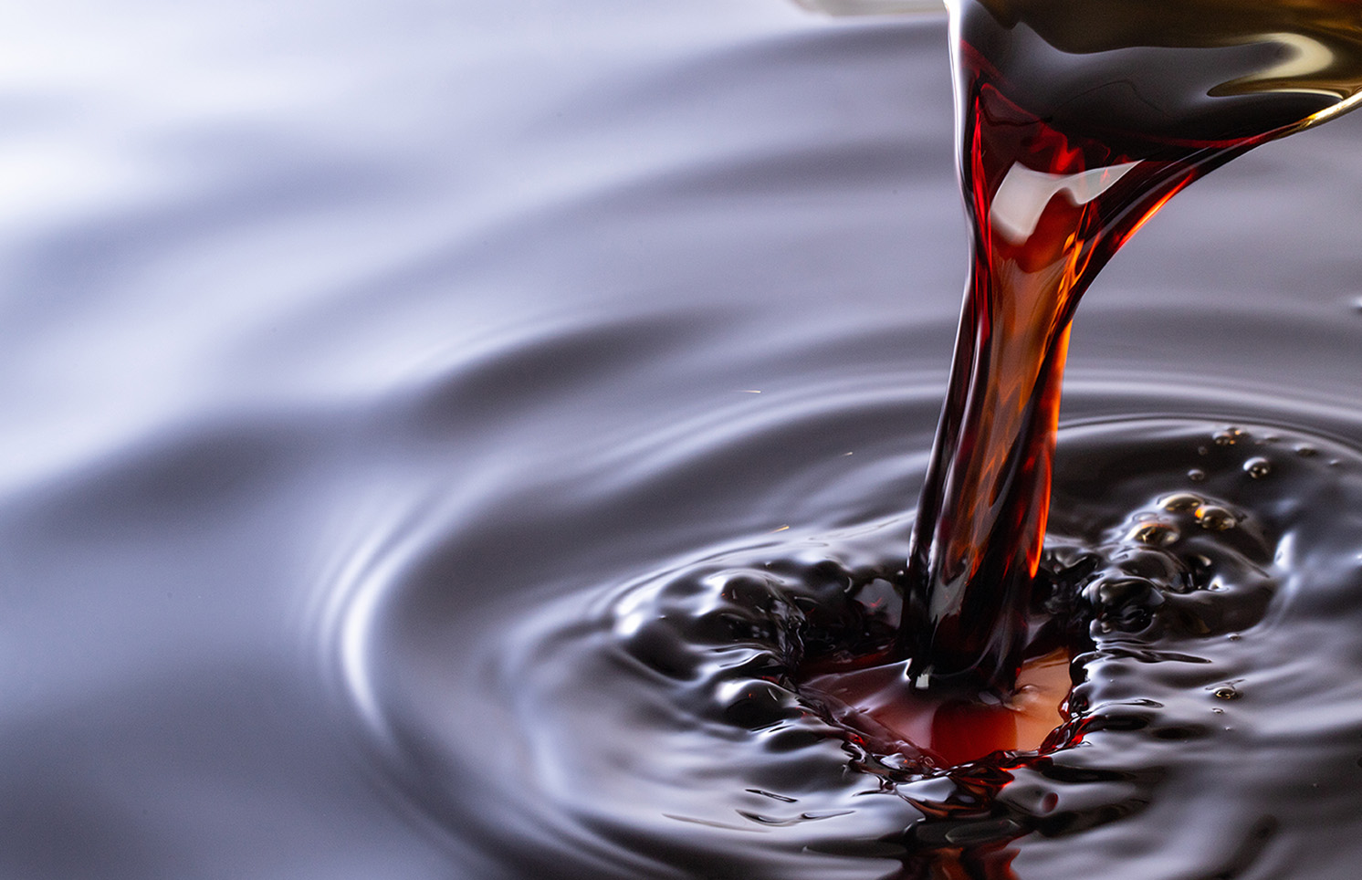 たまり醤油を煮込んだ、<br class="show_sp">門外不出の味付け